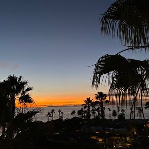 Live Show Notification